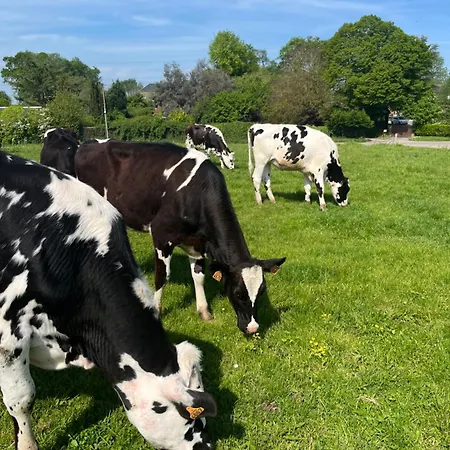 Holiday home Familial A La Ferme Des Hellandes *