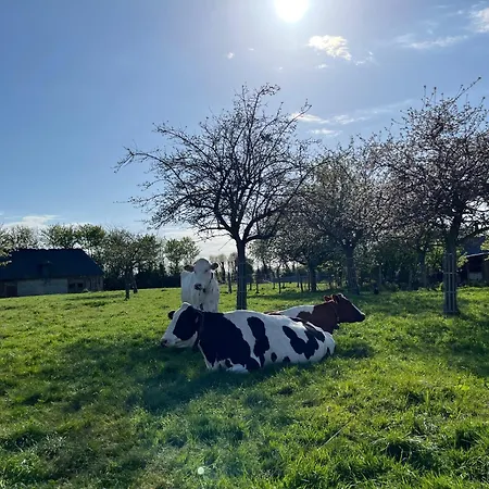 Familial A La Ferme Des Hellandes