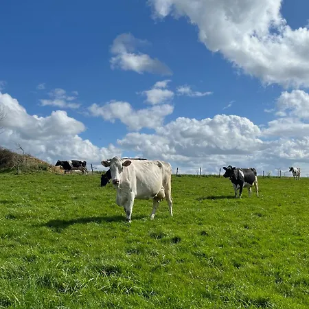 Familial A La Ferme Des Hellandes * Angerville-l'Orcher