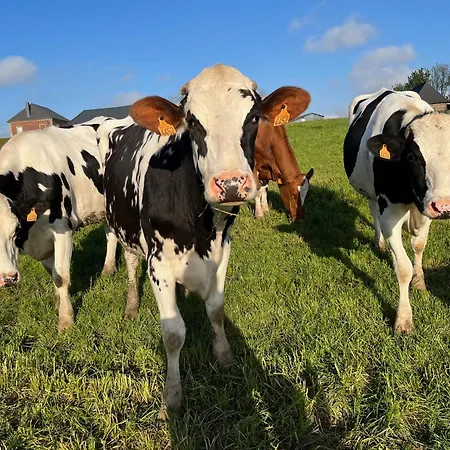 Holiday home Familial A La Ferme Des Hellandes