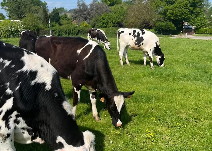 Dom wakacyjny Familial A La Ferme Des Hellandes *