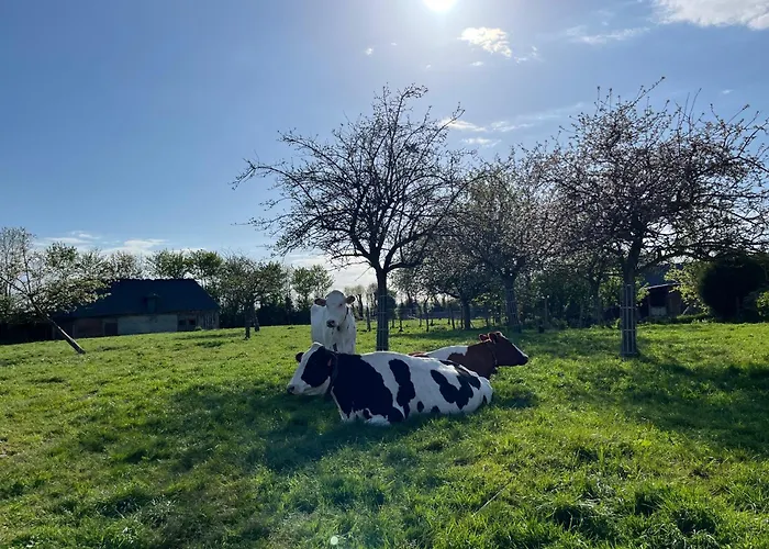 Familial A La Ferme Des Hellandes