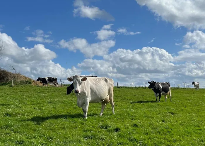Familial A La Ferme Des Hellandes * Angerville-l'Orcher