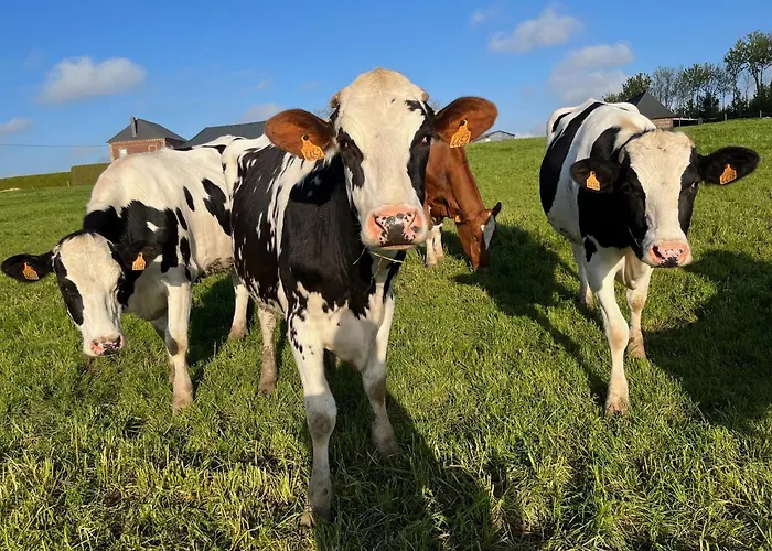Dom wakacyjny Familial A La Ferme Des Hellandes